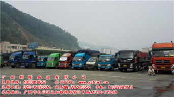 物流配送,行業(yè)內(nèi)全國領先,佛山禪城廣東東莞物流貨運專線